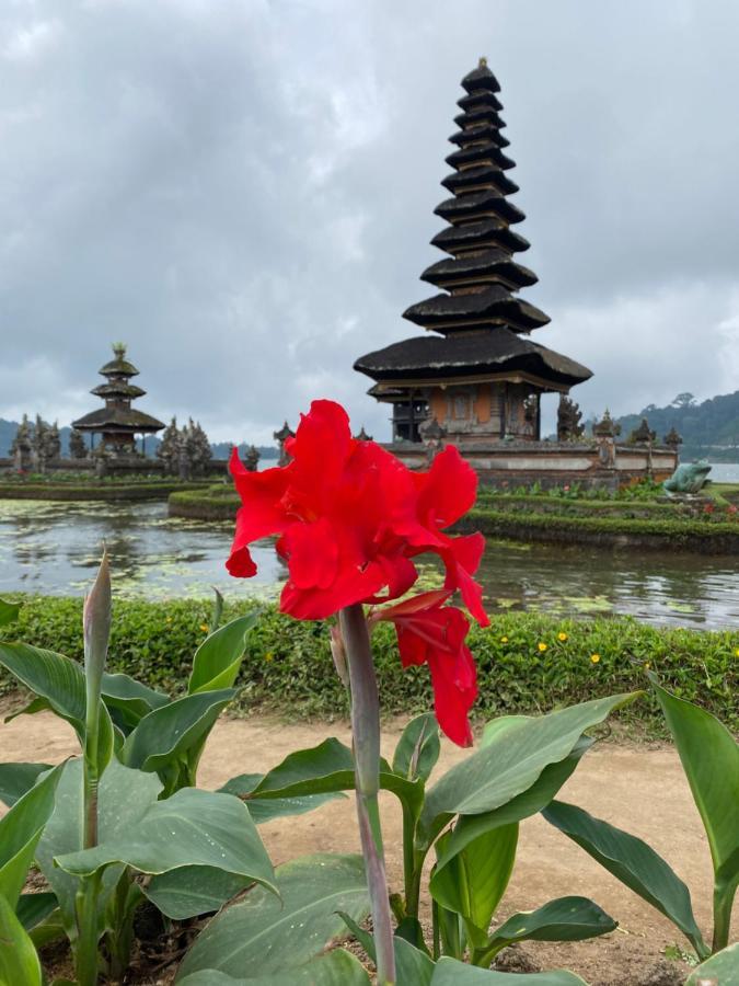 Wina Ubud B&B Buitenkant foto